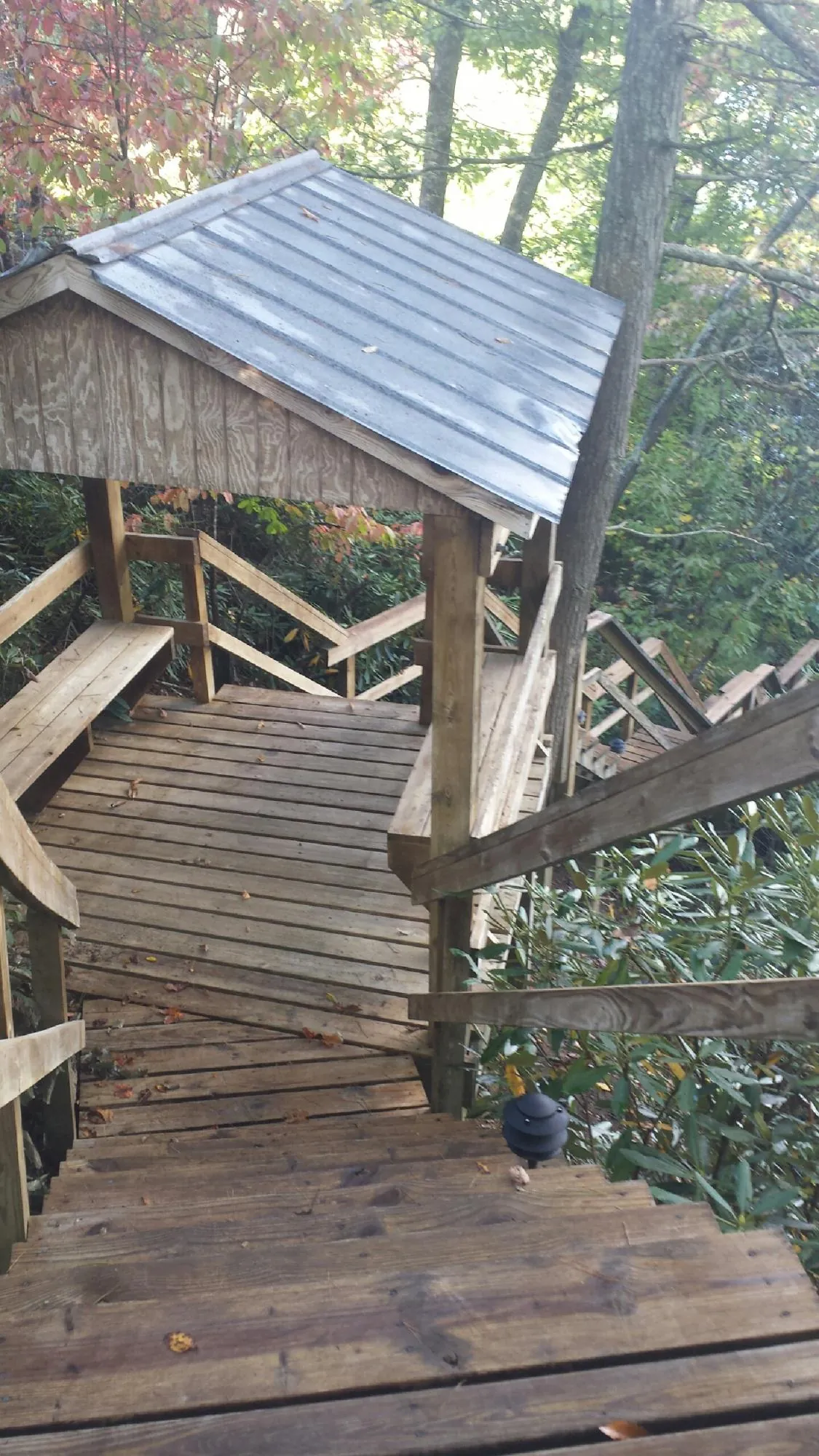 Metal roofed shelter over wooden steps on a wooded walkway — Skylight Repair & Installation work by our crew in Armstrong Creek