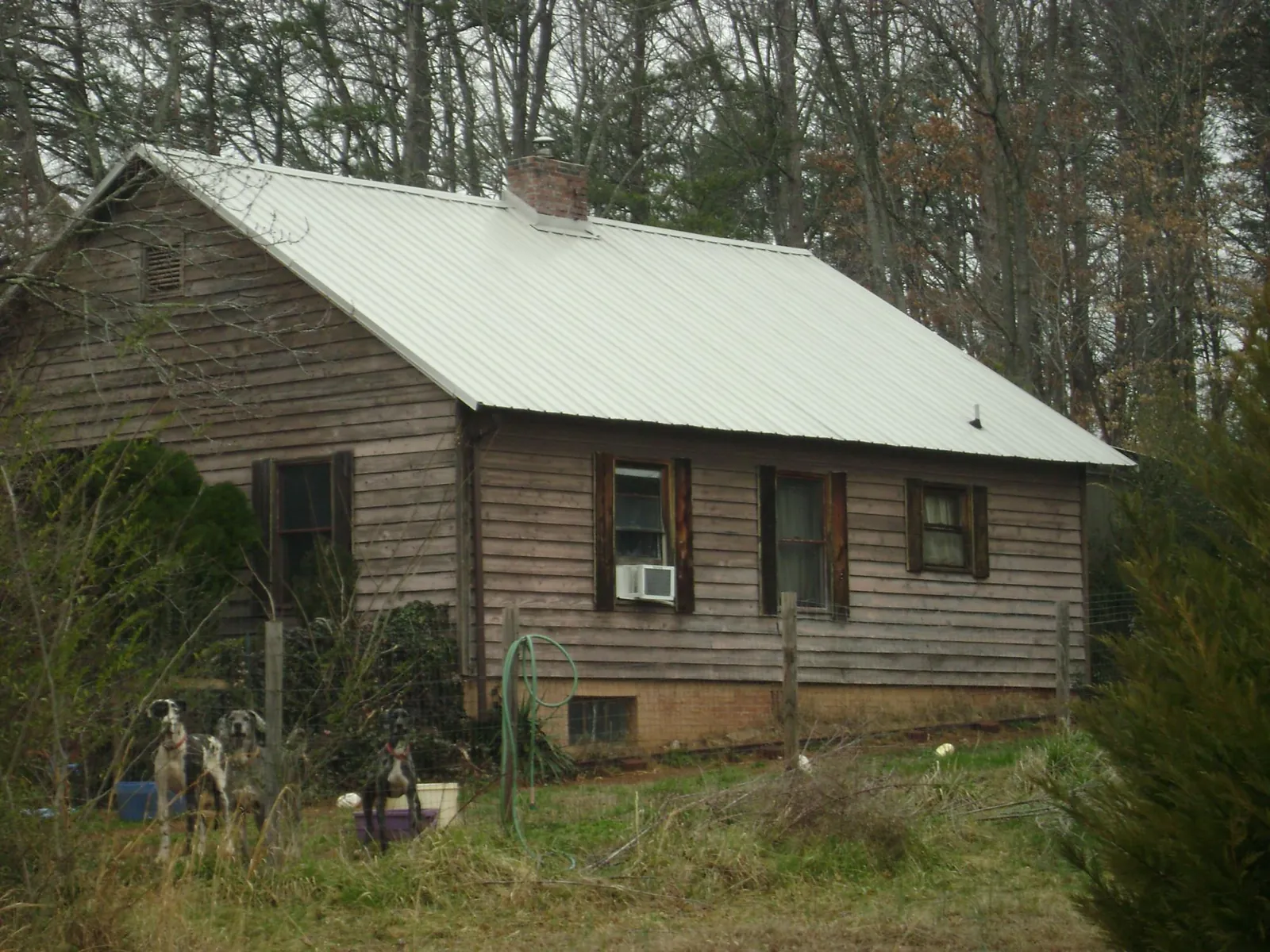 White metal roof on an old wood sided farmhouse, from a Asphalt Shingle Roof Repair job in Armstrong Creek